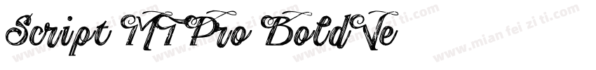Script MT Pro BoldVe字体转换